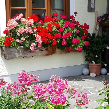 Auerhiasbauer Apartment Sankt Wolfgang im Salzkammergut Exterior photo