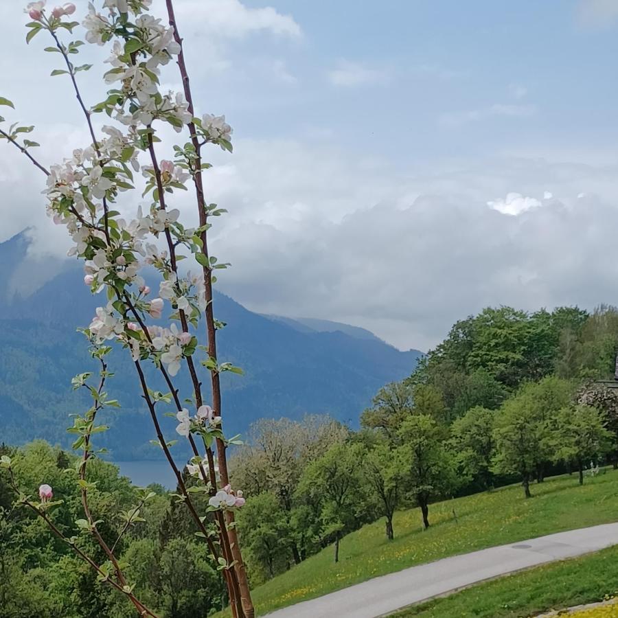 Auerhiasbauer Sankt Wolfgang im Salzkammergut