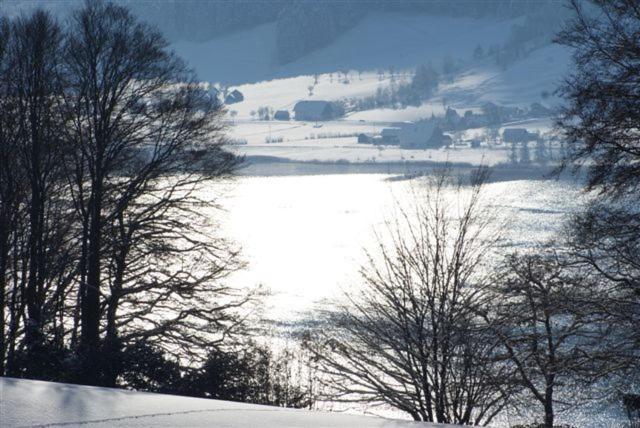 Auerhiasbauer Apartment Sankt Wolfgang im Salzkammergut