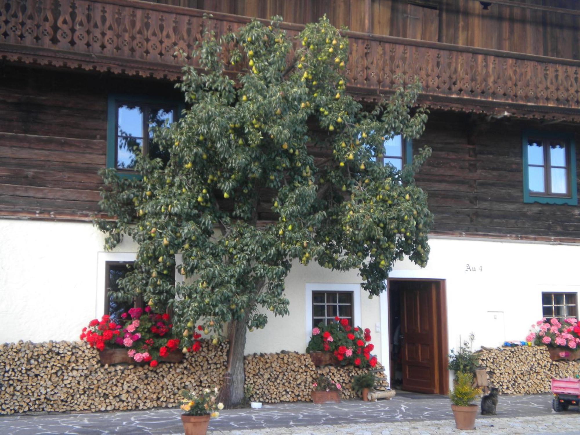 Apartment Auerhiasbauer *