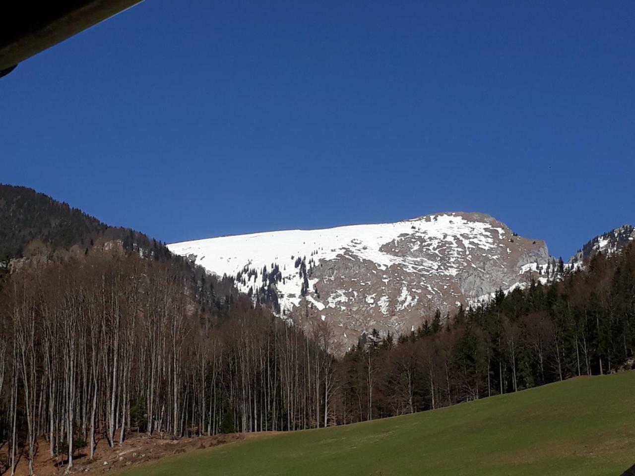 Apartmán Auerhiasbauer *